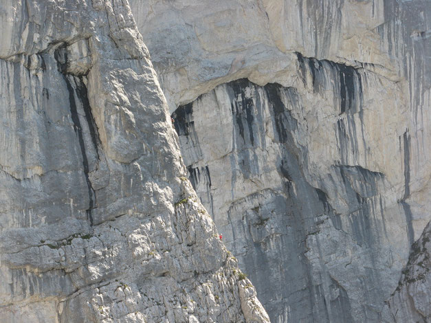 Roßkuppe Nordwestkante vom Peternpfad
