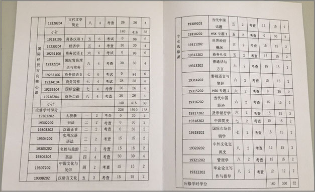 中国語学留学　大連外国語大学本科シラバス　選択科目