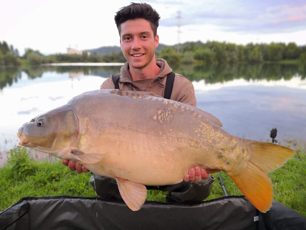 carpe miroir
