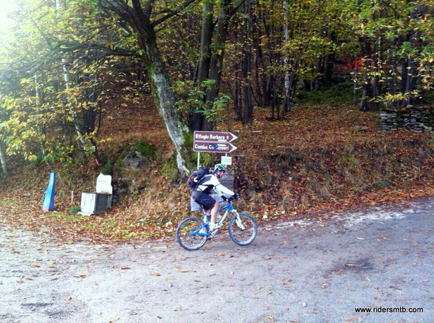 oramai siamo in autunno, fa freddo!!!..ma ci spoglieremo in fretta!!