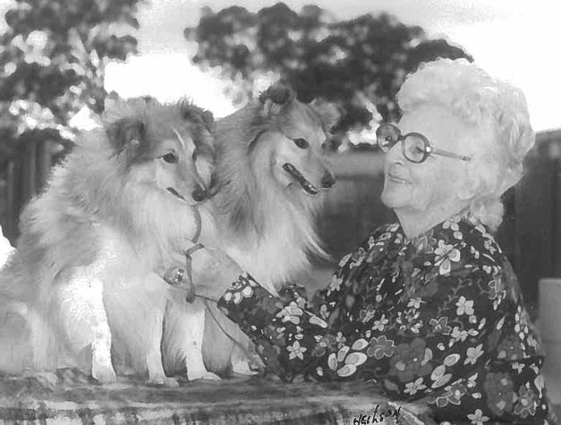 Ena Whestern with her shelties