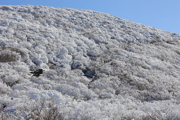 韓国岳冬景色