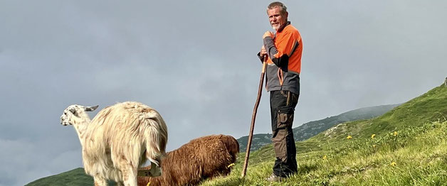 Eines meiner grössten Abenteuer: ich auf der Alpweide mit den Lamas als Hirte im Alpensommer 2024