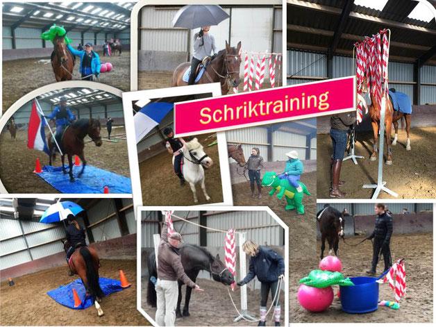 Schriktraining of horse agility met je paard. Aan de hand of onder het zadel.