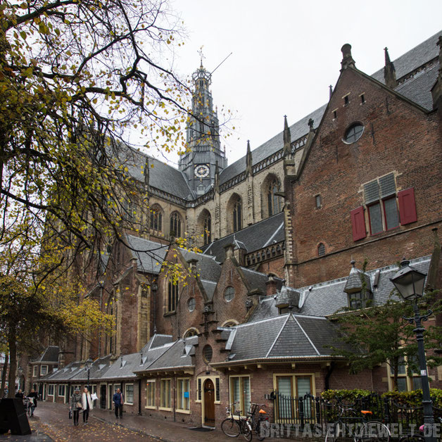 Haarlem,Niederlande,Holland,St. Bavo,Dom,Kirche