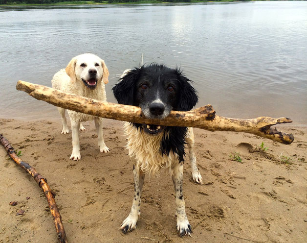 Jette und Phoebe