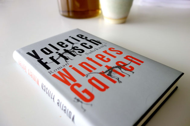 Buch Winters Garten von Valerie Fritsch