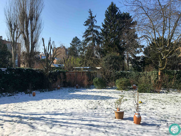 Le premier hiver de mes ollas : positionnées mais pas encore enterrées !