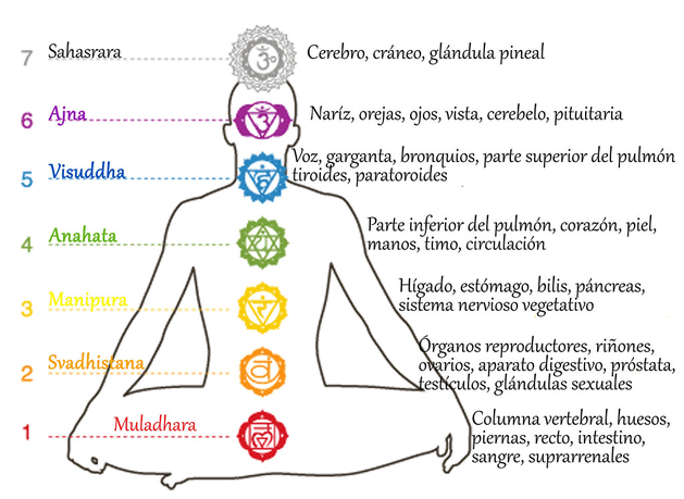 ubicación de los chakras