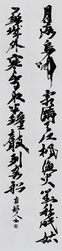 髙橋　南