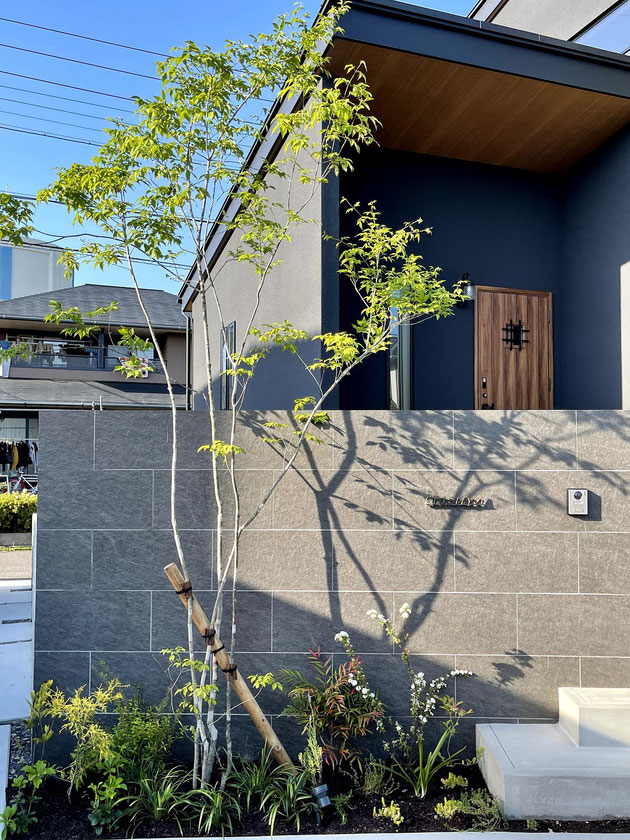 建物外壁と合わせたタイル張りの門塀にシンボルツリーのアオダモを合わせる