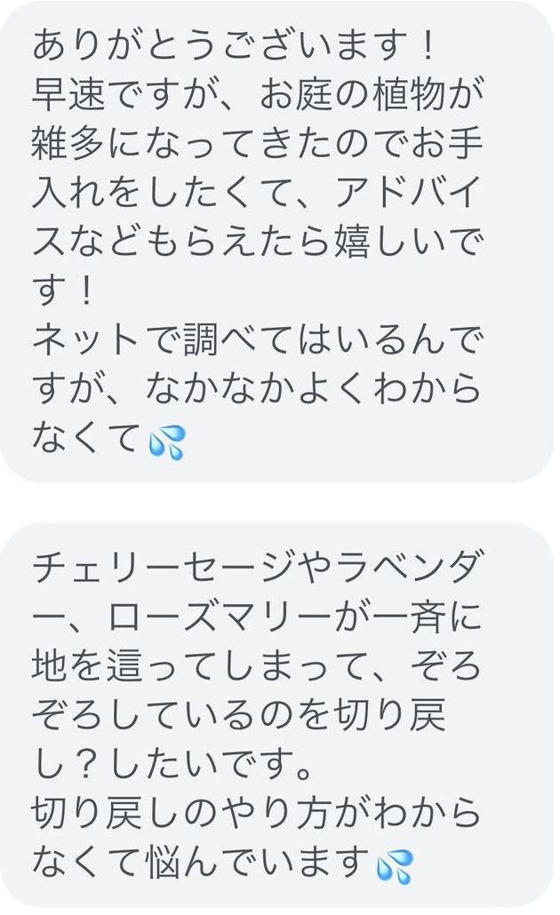 OB様のご質問にガーデンドクター柴ちゃんが回答します!