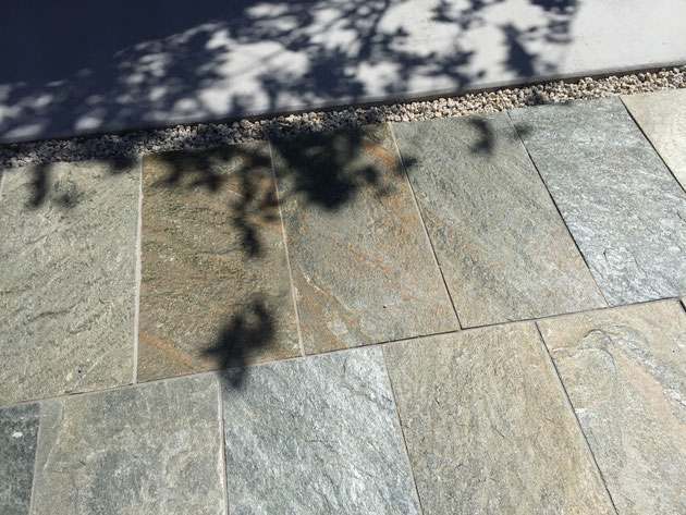 天然石の上にアオダモの影が映る。世界に二つと無い表情がここにある。