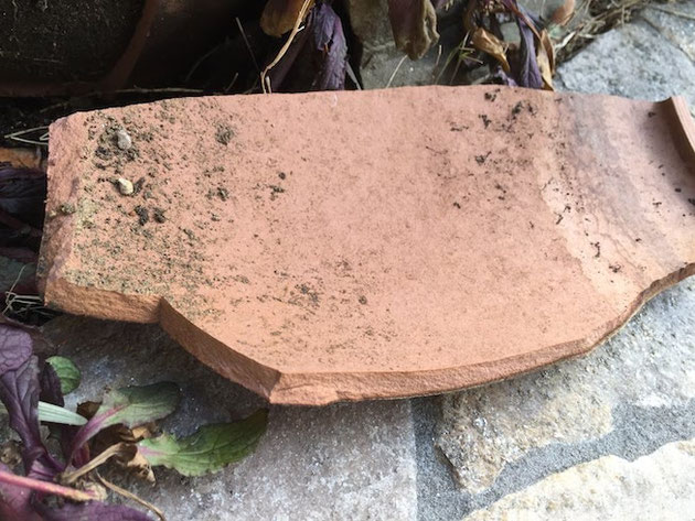 テラコッタの植木鉢】割れた！何もしてないのに！植木鉢が割れた