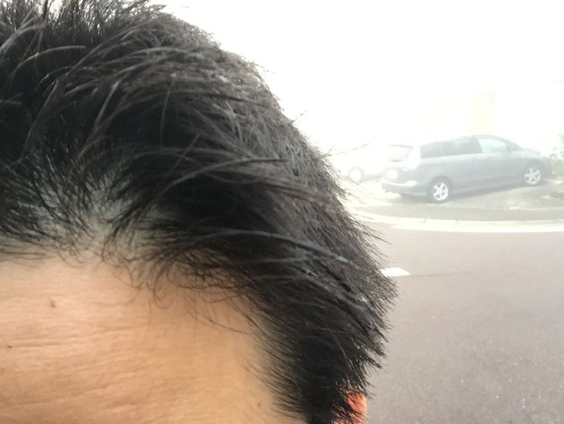 霧で髪の毛がしっとりと濡れていました。決してヘアワックスを使ったわけではありません。