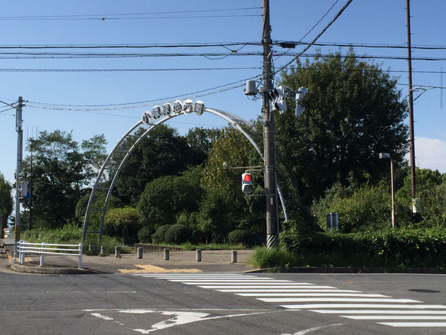 小幡緑地西園。守山区は小幡緑地の広い緑地面積が自慢です。