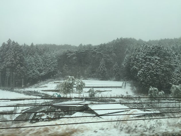 ここはどこだ？と言うくらいの雪景色。やっぱり山間部は降りますね！