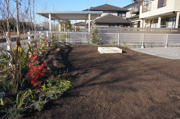 街路樹のソメイヨシノを楽しむ為に設計した植栽。落葉樹を選択したのも計画通り。