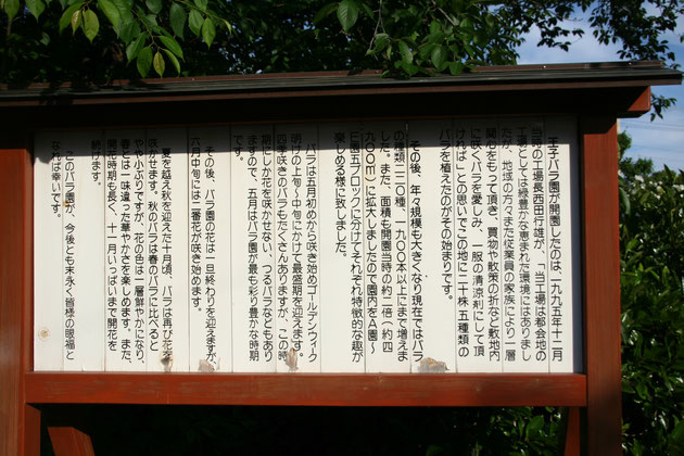 王子バラ園の歩み　はじめは20株（５種類）からスタートされたそうです。今は1900本以上うわっている！！凄い！！