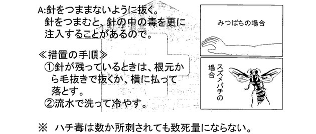 蜂に刺された場合は針をつまむように抜く。知らなかった！