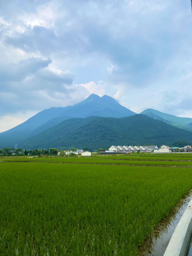 大分県産ローカルタレントが由布市の由布岳を見る