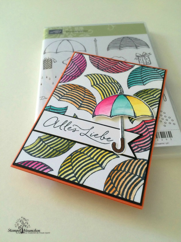 Stampin Up Donnerwetter