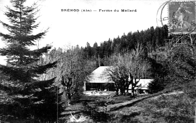 Les baraquements du Chantier de la Jeunesse n° 6 étaient implantés non loin de la ferme du Molard [Brénod]. Après leur évacuation, ils seront occupés par le maquis et détruits par la Wehrmacht le 6 Février 1944