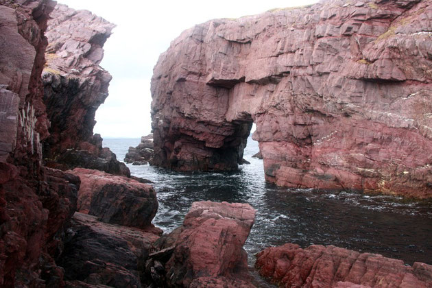 SANDSTEINFELSBOGEN *ARCHE ROCK* IN *TICKLE COVE*