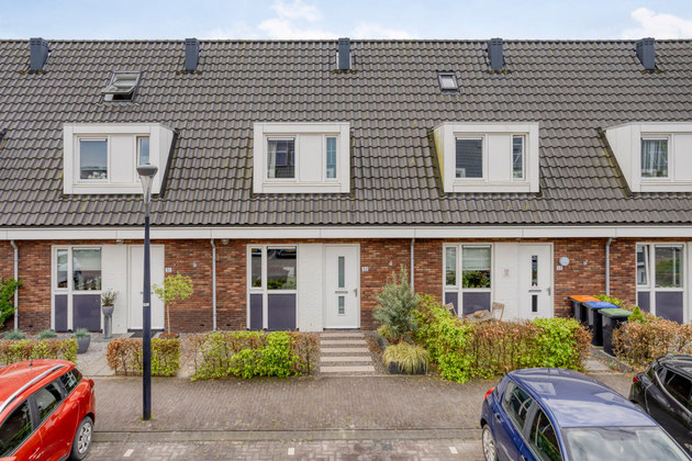 Hemsink Biddinghuizen