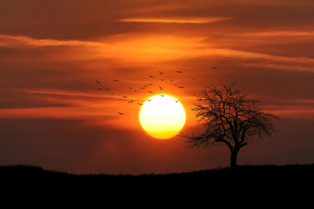 sich selbst vergessend den Sonnenuntergang erleben