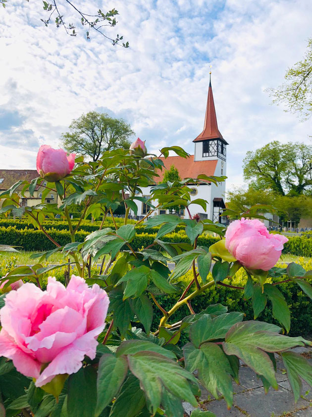 Foto: Susanne Herrmann