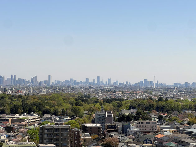 仕事中、270度東京の絶景を堪能できる贅沢な環境に感謝。井の頭公園は新緑に包まれています！