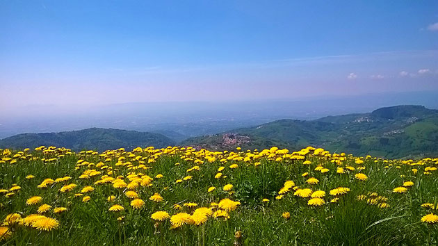 Panorama Di Conco Altopiano dei Sette Comuni