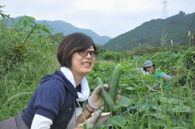 地這いキュウリ　自然栽培　体験農場　農業体験　野菜作り教室