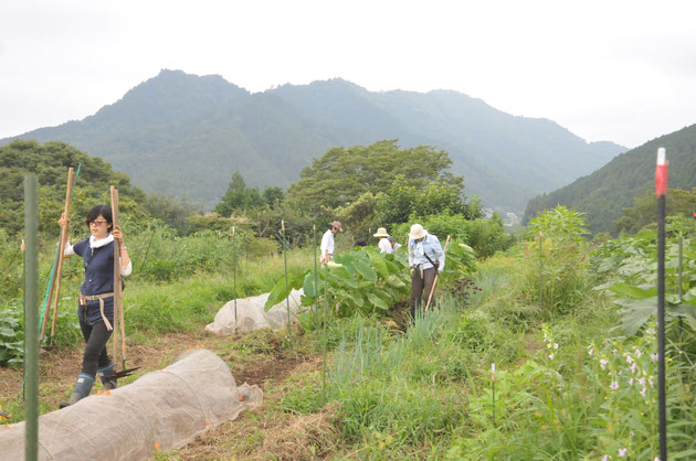 固定種　種まき　体験農場　農業体験　野菜作り教室　自然栽培