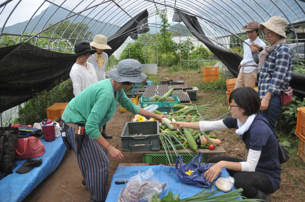 固定種　自然栽培　農業体験　体験農場　野菜作り教室　オーガニック栽培