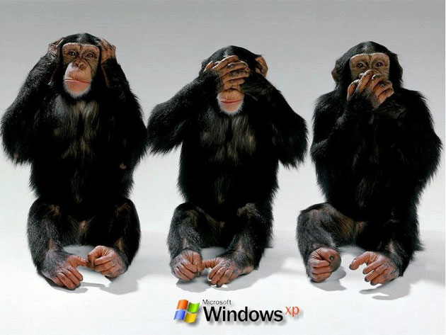 Die Affen sagen alles