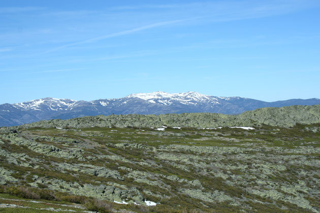 Pico del Lobo