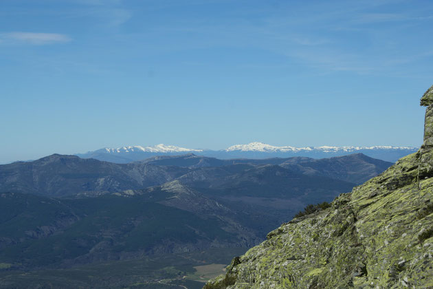 Peñalara al fondo