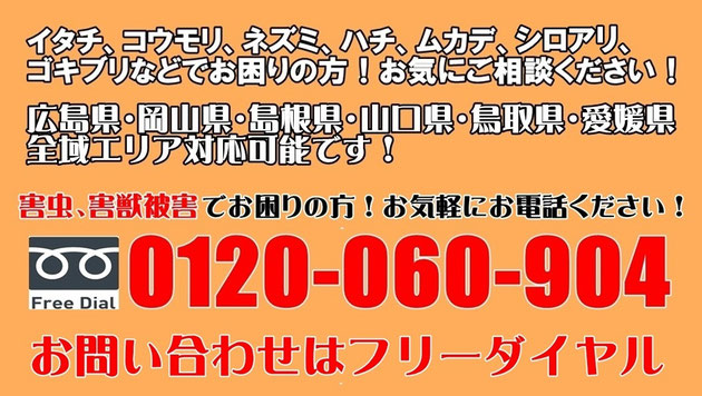 イタチ、コウモリ、ネズミ、ハチ、ムカデ、シロアリ、ゴキブリなどでお困りの方！お気にご相談ください！広島県・岡山県・島根県・山口県・鳥取県・愛媛県　　全域エリア対応可能です！