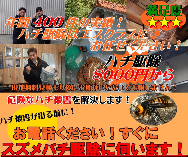 スズメバチ駆除8000円から　年間400件の実績！