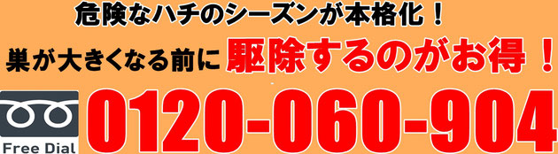 危険なハチのシーズンが本格化！早めの駆除がお得！