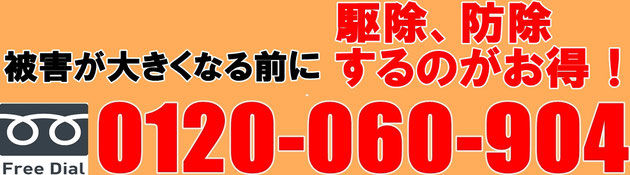 シロアリの被害が大きくなる前に！フリーダイヤル0120-060-904お電話ください！！