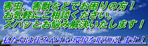 何にお困りですか？害虫、害獣駆除専門店　合同会社エスクラスのホームページにようこそ！