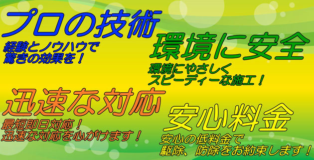 プロの技術で安心料金