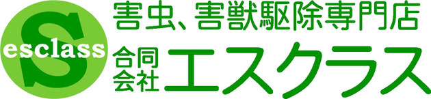 イタチ、ネズミ、コウモリ、ハチ、シロアリ駆除なら　合同会社エスクラス　広島県、島根県、鳥取県、愛媛県、岡山県　対応