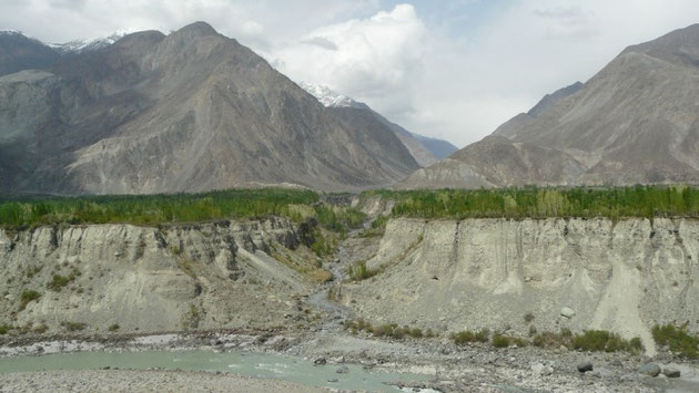 De complexes reseaux de canaux permettent la creation de petits oasis qui viennent egayer cet univers mineral