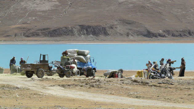 Travaux des champs sur les rives du Yamdrok-sto