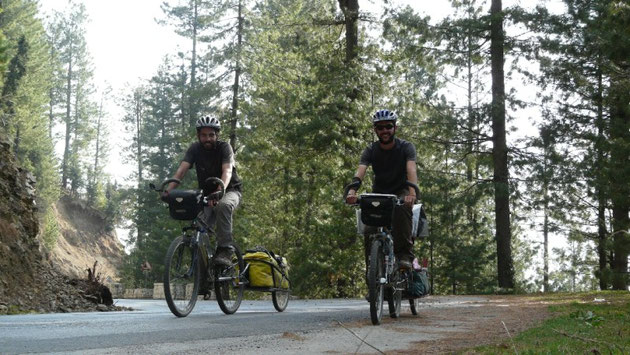 Loin de la chaleur des plaines, nous apprecions les forets des contreforts du Cashmire