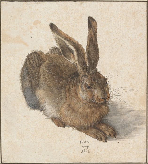 Le lièvre, aquarelle et gouache d’Albrecht Dürer réalisée en 1502 et considérée à juste titre comme un de ses chefs-d’œuvre d’observation de la nature